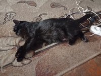 Фото и видео покупателей