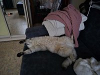 Фото и видео покупателей