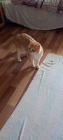 Фото и видео покупателей