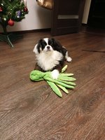 Фото и видео покупателей