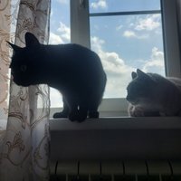 Фото и видео покупателей