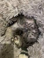 Фото и видео покупателей