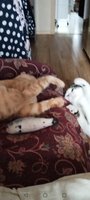 Фото и видео покупателей