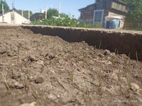 Фото и видео покупателей