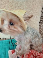 Фото и видео покупателей