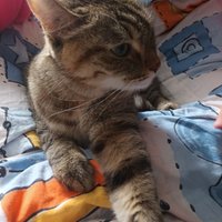 Фото и видео покупателей