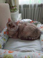Фото и видео покупателей