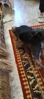 Фото и видео покупателей