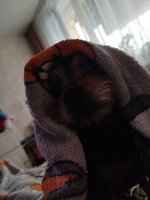 Фото и видео покупателей