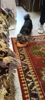 Фото и видео покупателей