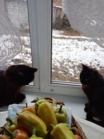 Фото и видео покупателей