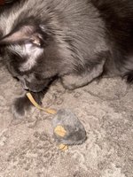 Фото и видео покупателей