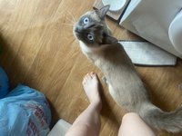Фото и видео покупателей