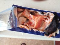 Фото и видео покупателей