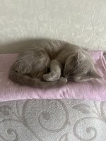 Фото и видео покупателей