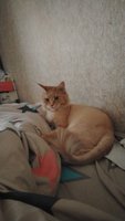 Фото и видео покупателей