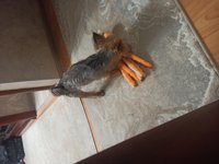 Фото и видео покупателей