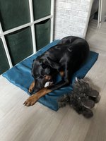 Фото и видео покупателей