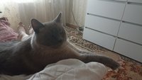 Фото и видео покупателей