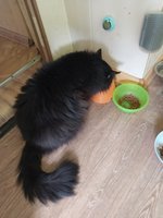 Фото и видео покупателей