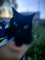 Фото и видео покупателей