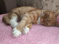 Фото и видео покупателей