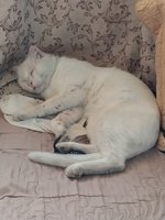 Фото и видео покупателей