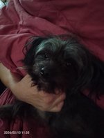 Фото и видео покупателей