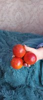 Фото и видео покупателей