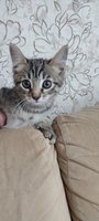 Фото и видео покупателей