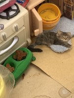 Фото и видео покупателей
