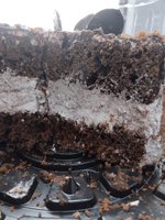 Фото и видео покупателей