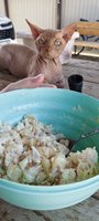 Фото и видео покупателей
