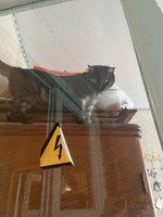 Фото и видео покупателей