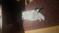 Фото и видео покупателей