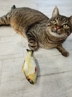 Фото и видео покупателей